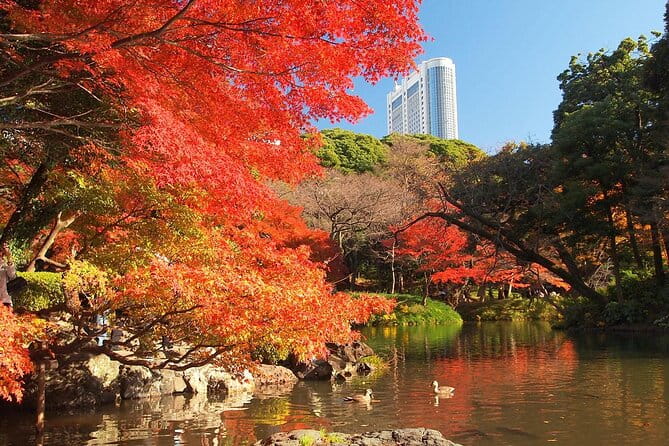 Private Audio Guided Walking Tour in Tokyo - Customer Reviews