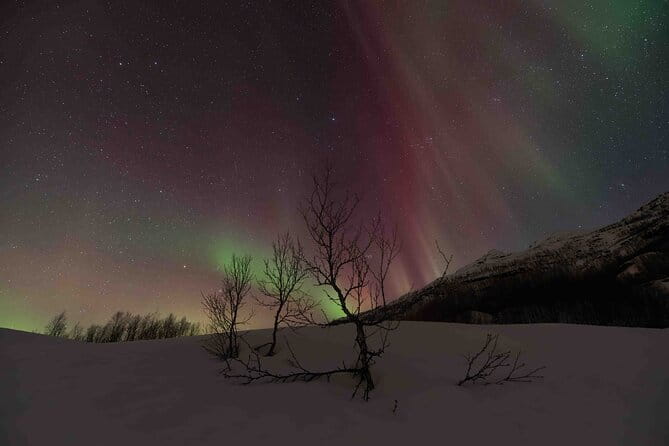 Private Aurora Hunting with Professional Photographer from Alta - Exploring Alta’s Aurora Experience in Detail