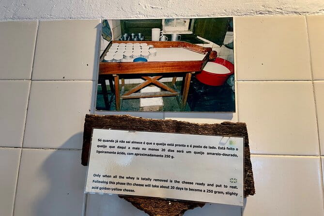 Private Azeitão Cheese Workshop: Wine & Sesimbra from Lisbon - Winery Tour and Tasting at Quinta de Catralvos