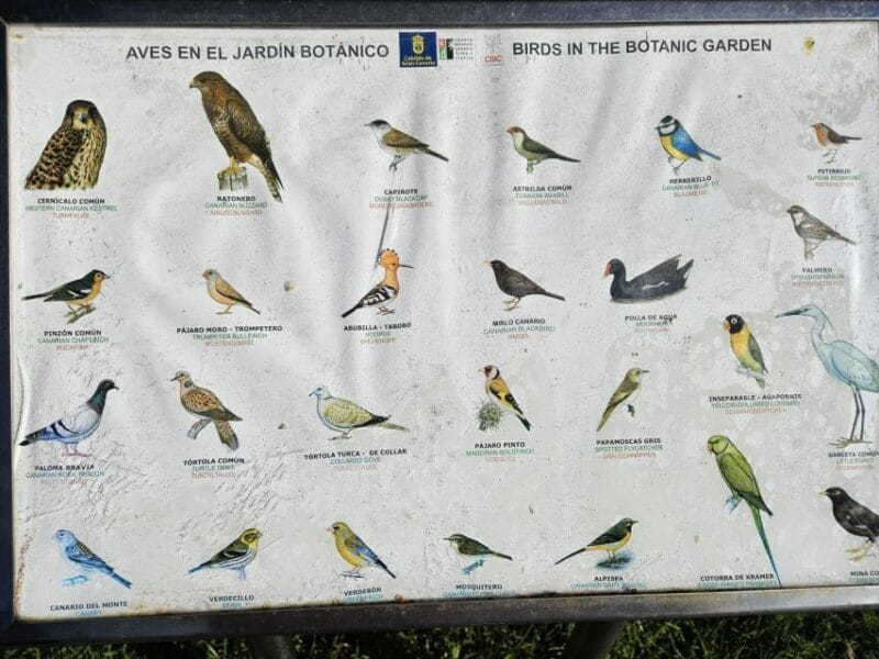 Private Bandama Caldera, Botanic Garden(/Wine*), Old Town - The Sum Up