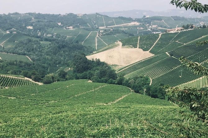 Private Barolo Wine Tour with Winemaker from Turin - Walking Through the Vineyards: Discovering Terroir