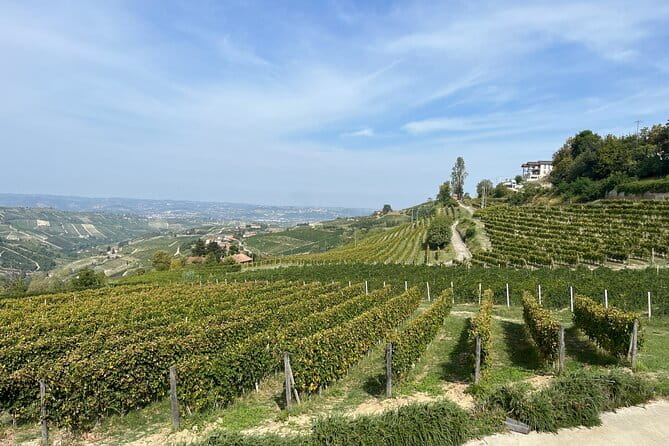 Private Barolo Wine Tour with Winemaker from Turin - Final Reflections: Who Will Love This Tour?