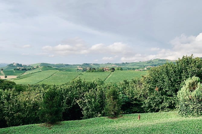 Private Barolo Wine Tour with Winemaker from Turin - Practical Details and Considerations