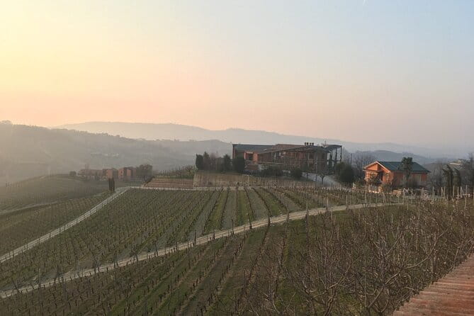 Private Barolo Wine Tour with Winemaker from Turin - Who Is This Tour Best For?