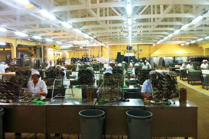 Private Best Fish Experience From Porto - Final Thoughts: Worth Your Time and Money?