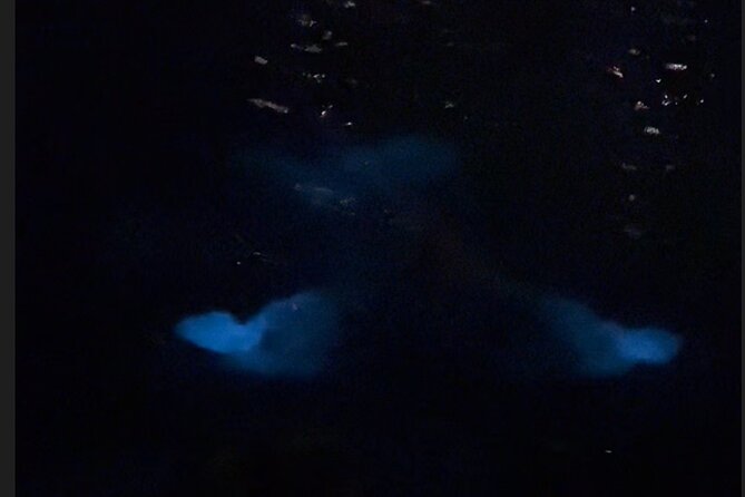 Private: Bioluminescence Tour - Tour Pricing and Guarantee