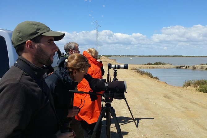 Private Birding & Photography Day Trip to Doñana - Birdwatching Activities