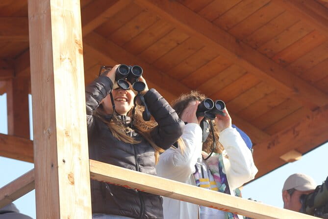 Private Birding Tour in Albania - The Experience of Observation and Learning