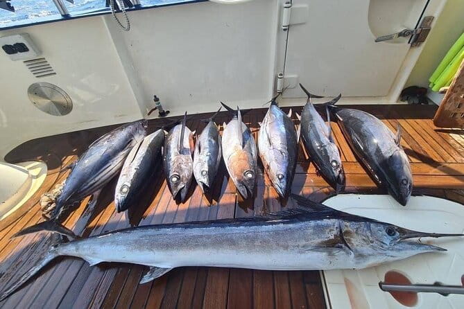 Private Boat and Fishing Tours in Greek Islands - Final Thoughts: Who Should Book?