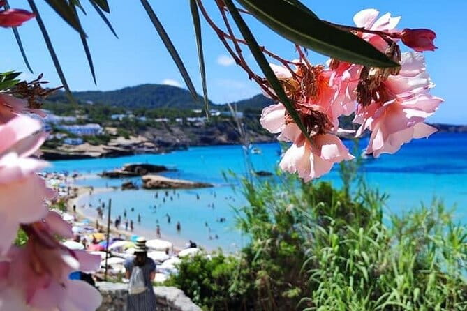 Private Boat Experience in Ibiza - Who Would Love This Experience