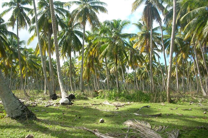 Private Boat Nature Tour of Limón Beach and Lagoon - Reviews