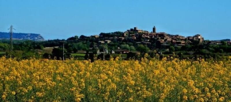 Private Boat Tour, Costa Brava, & Medieval Villages - Key Points / Takeaways