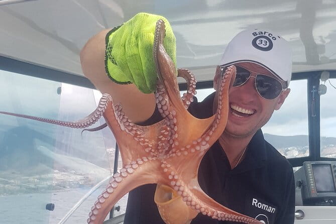 Private boat tour - An Up-Close Look at the Itinerary