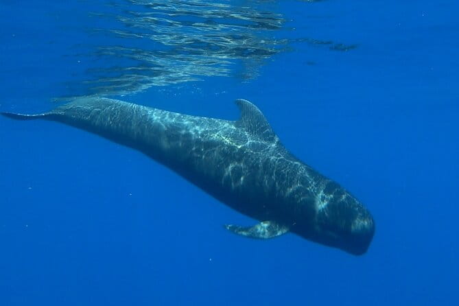 Private boat tour - Practical Tips