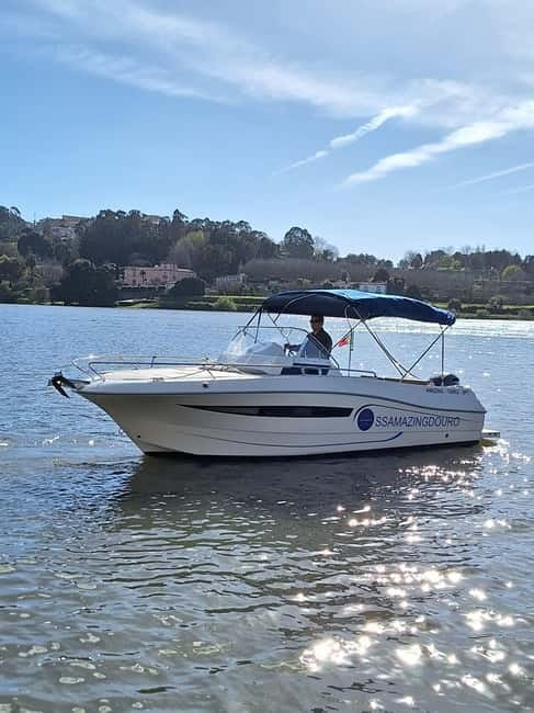 Private Boat Tour in Porto with Portuguese Tapas Option - Price and Value