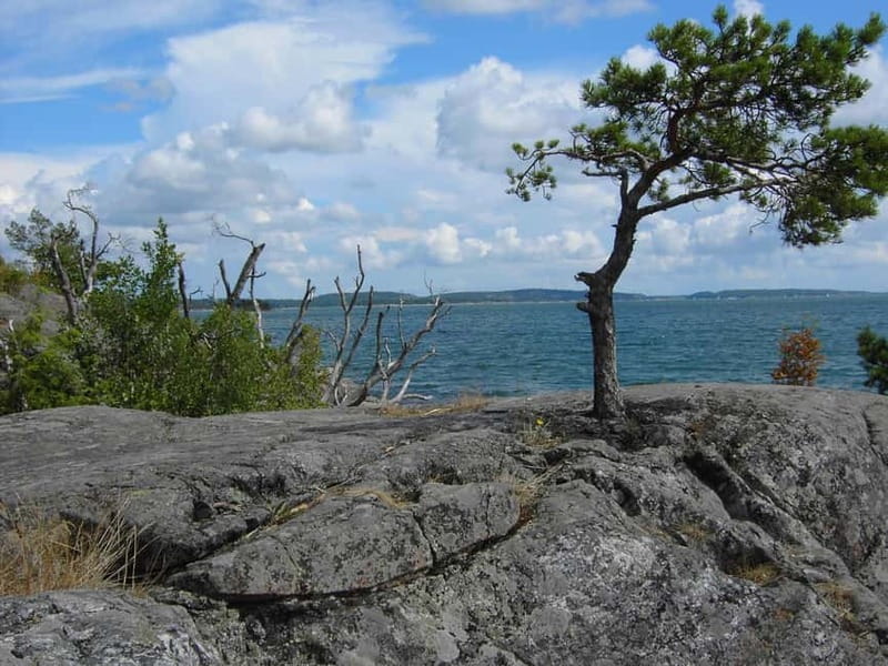 Private Boat Tour in Stockholm - Frequently Asked Questions