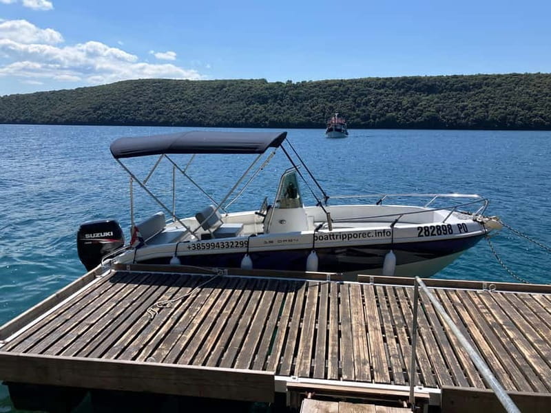 Private boat trips in Porec: Dolphin watching at sunset - An In-Depth Look at the Sunset Dolphin Watching Trip in Porec