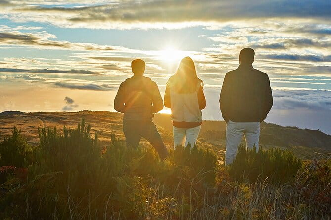 Private Breathtaking Sunrise Private Jeep Tour - Exploring Santo da Serra’s Botanical Charm