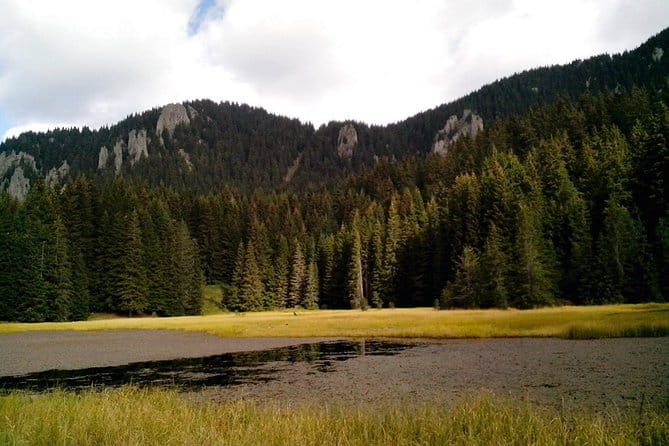 Private Buggy Experience All Seasons in Pamporovo - FAQs