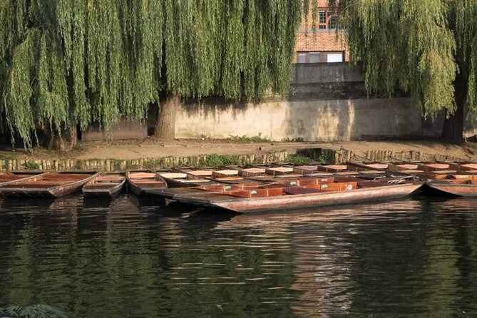 Private Cambridge Punting Tour - Exploring University Colleges