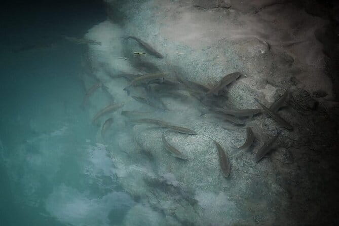 Private Canyon&Cave Tour from Kutaisi(Martvili-Okatse-Prometheus) - FAQ