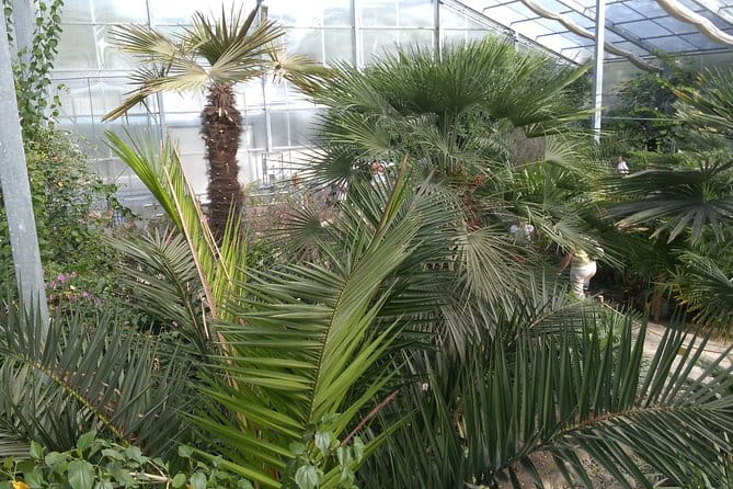 Private Cape Kaliakra & the Balchik Botanical Gardens from Varna - Price and Logistics: Is It Worth It?