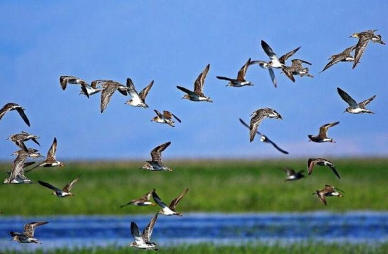 Private Cappadocia Underground City Visit(Car and Driver) - Frequently Asked Questions