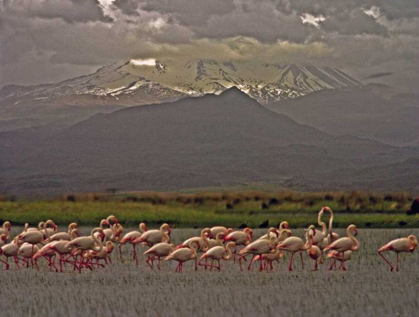 Private Cappadocia Underground City Visit(Car and Driver) - Tour Highlights