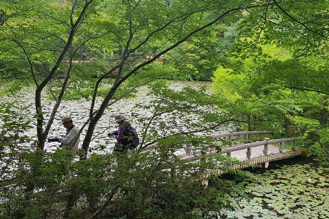 Private Car Day Trip to the Kobe Mountains, Gardens and Hot Springs From Osaka - Costs and Inclusions for the Tour