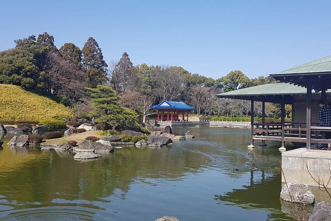 Private Car Full Day Tour of Osaka Temples, Gardens and Kofun Tombs - Traveler Reviews and Feedback