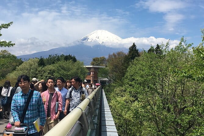 Private Car Mt Fuji and Gotemba Outlet in One Day From Tokyo - Traveler Experiences and Reviews