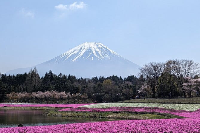 Private Car Mt Fuji and Gotemba Outlet in One Day From Tokyo - Luxury and Comfort