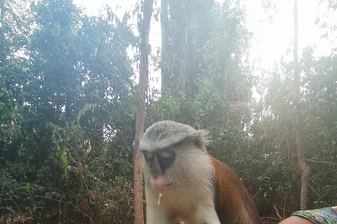 Private Car Service - Included Services