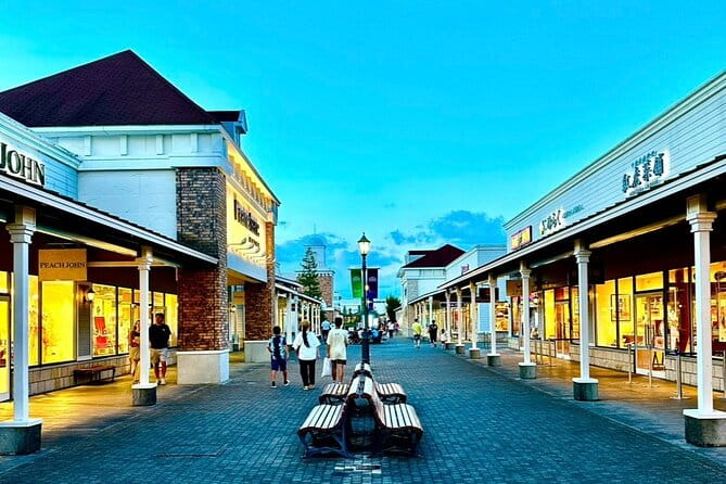 Private Car Tour for Tokyo Shopping - Key Points