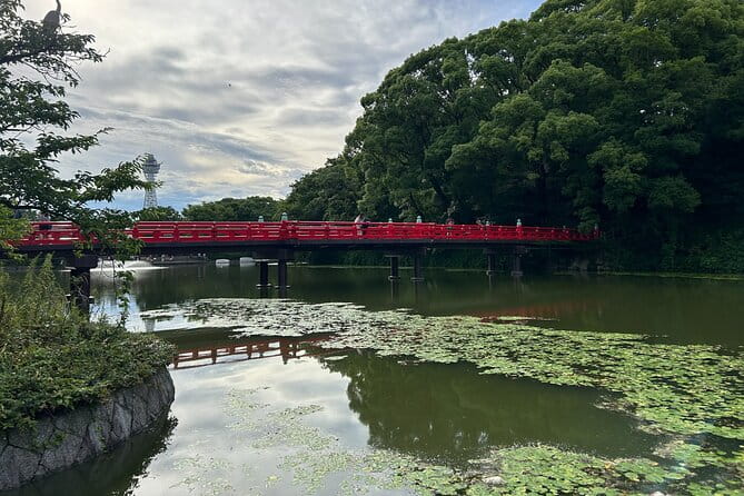 Private Car Tour From Kyoto to Osaka by Japanese Guide - Accessibility Features