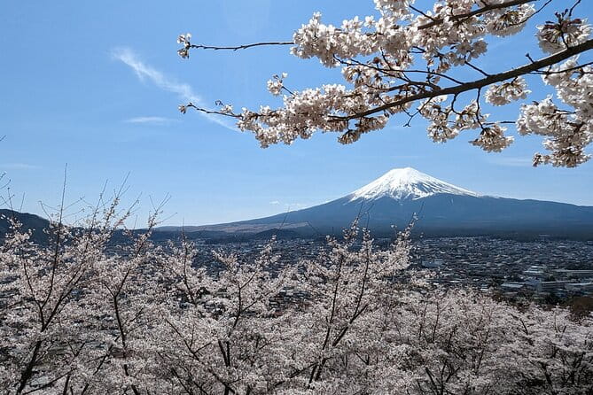 Private Car Tour to Mt. Fuji Lake Kawaguchiko - Key Points