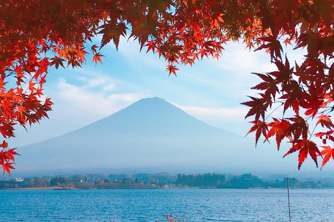 Private Car Tour to Mt. Fuji Lake Kawaguchiko - Exceptional Guide Expertise and Flexibility