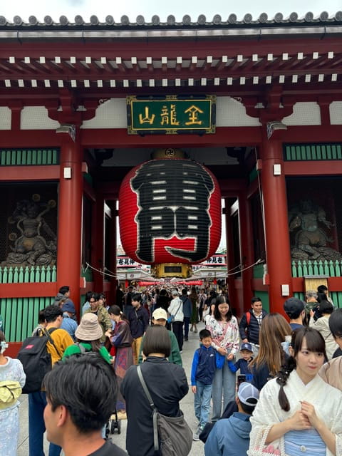 Private Car Tour With Meiji Shrine, Skytree, and Odaiba - Key Points