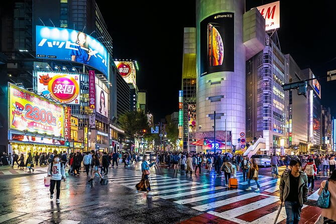 Private Car Tours Explore Tokyo City - Key Points