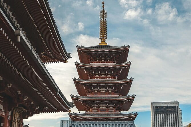 Private Car Tours Explore Tokyo City - Accessibility Features