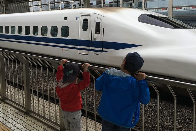 Private Car Transfer From Narita Airport to Tokyo - Traveler Reviews and Recommendations