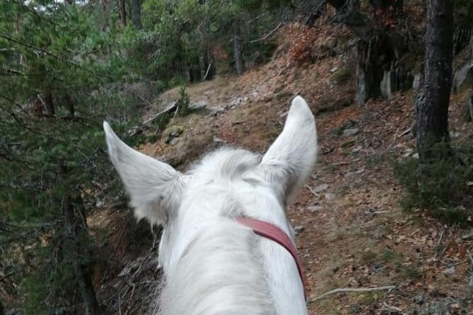 Private Cascades Waterfall Horseback Riding Tour from Smolyan - Who This Tour Is Best For