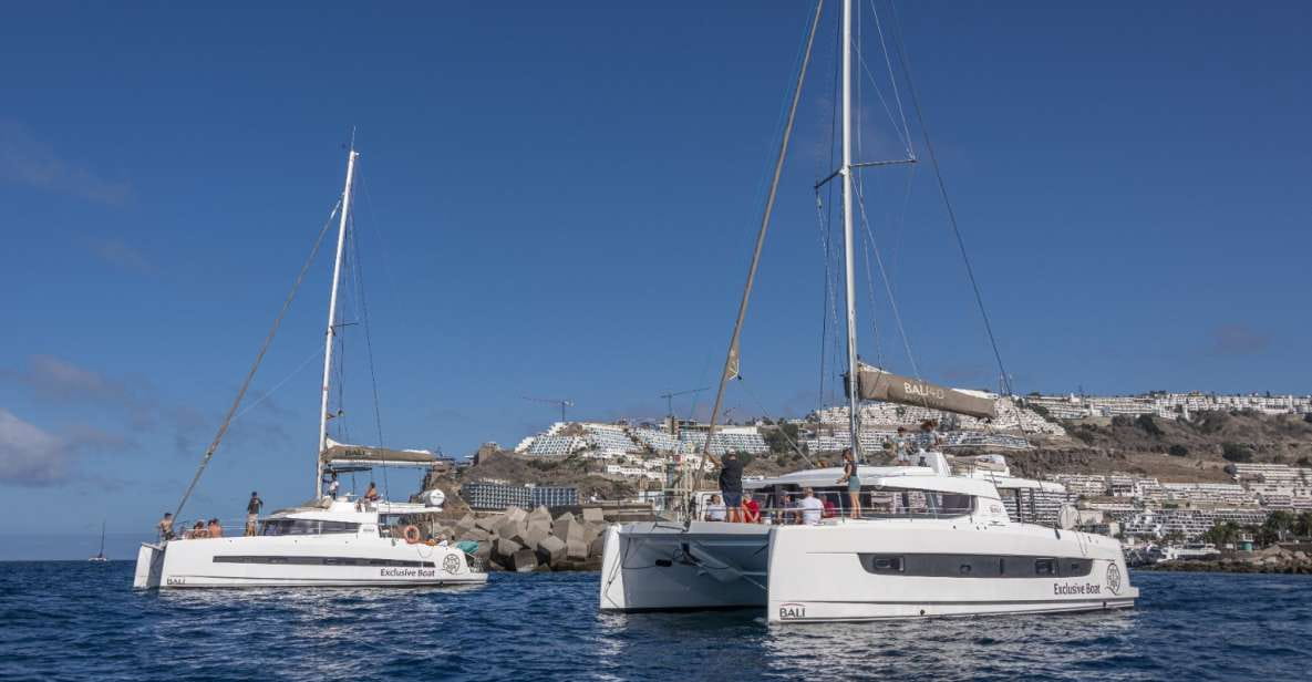 Private Catamaran Charter in Gran Canaria, Puerto Rico - Customer Testimonial