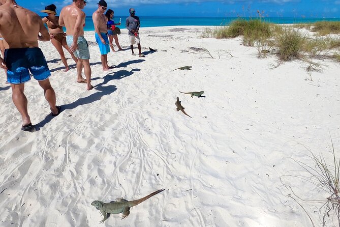 Private Catamaran Tour With Snorkel in Providenciales - Tour Overview