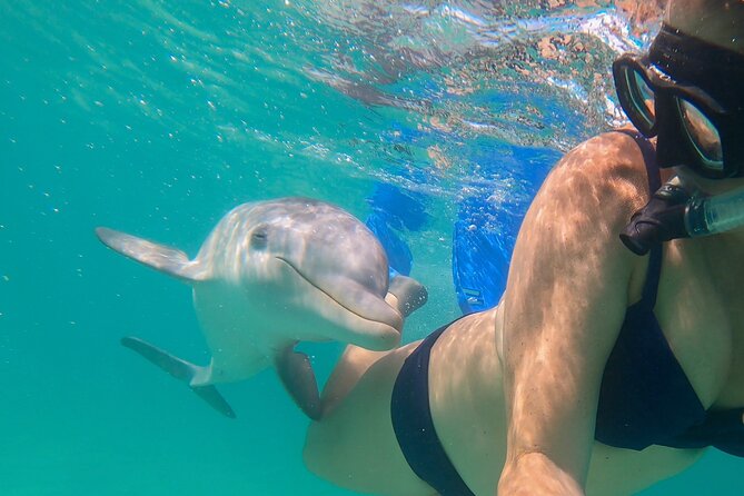 Private Catamaran Tour With Snorkel in Providenciales - Exclusions and Fees