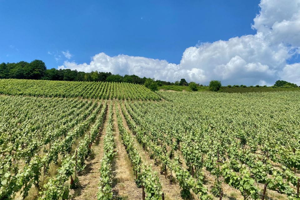 Private Champagne Moët and Chandon, Pommery, Pressoria - Frequently Asked Questions