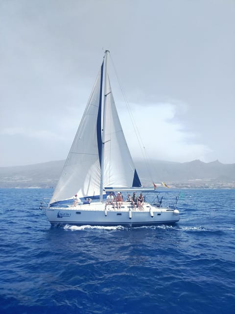 Private charter on sailboat - coastal trip with snorkeling in the bay - Snorkeling and Paddleboarding: Water Fun in a Calm Bay