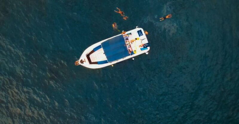 Private Charter Private Charter to see the whales - 3 Hours - Frequently Asked Questions