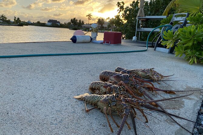 Private Charter - Stingray City, Starfish Point & Snorkeling - Overview of the Tour