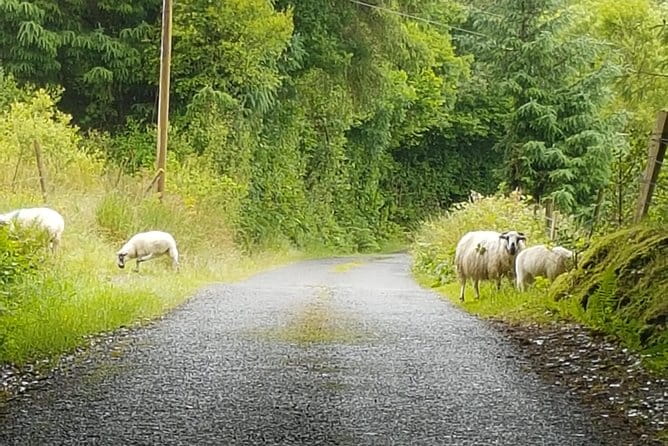 Private Chauffeur Service From Dublin to Lahinch - Frequently Asked Questions